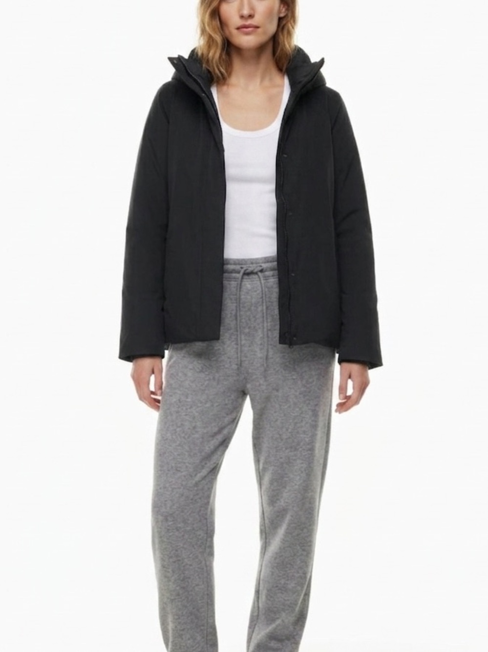 Aritzia Explore Parka